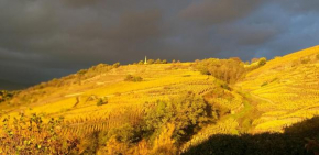 Wine Passion Panoramic, Chavanay
